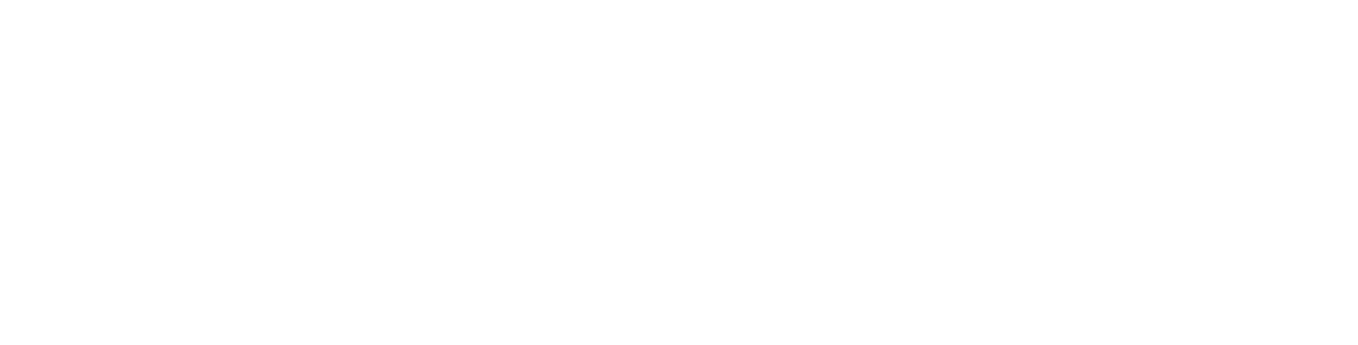 Logotipo de Mudanzas Plus Siglo XXI